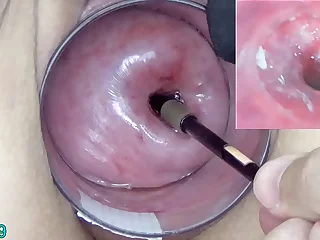 545 kinky porn videos